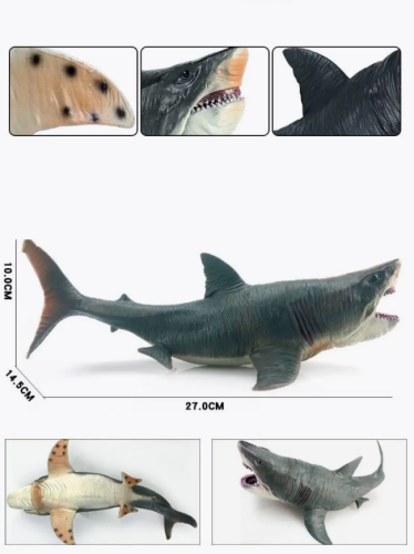 Мегалодон Акула морские обитатели большая акула 27 см фото 6