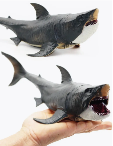 Мегалодон Акула морские обитатели большая акула 27 см фото 13