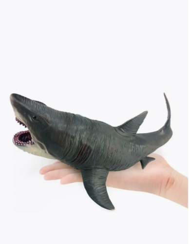 Мегалодон Акула морские обитатели большая акула 27 см фото 14