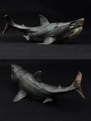 Мегалодон Акула морские обитатели большая акула 27 см фото 3