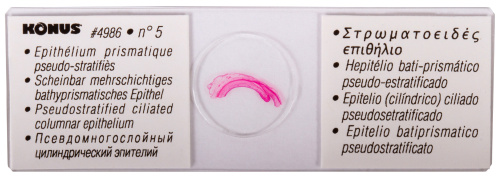 Набор микропрепаратов Konus 25: «Клетки и ткани животных» фото 5