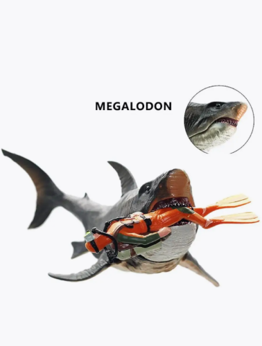 Мегалодон Акула морские обитатели большая акула 27 см фото 8