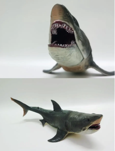 Мегалодон Акула морские обитатели большая акула 27 см фото 10