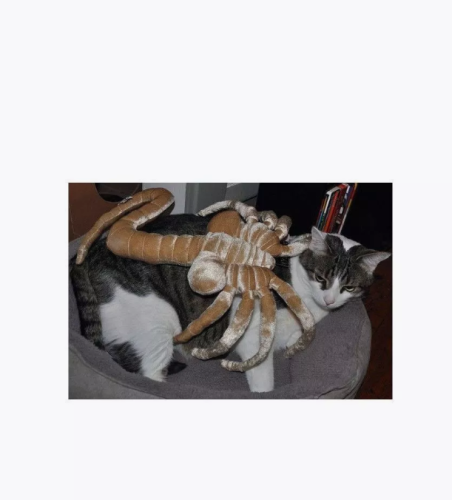 Мягкая игрушка Чужой Лицехват Alien Facehugger Plush (40см) IQchina фото 5