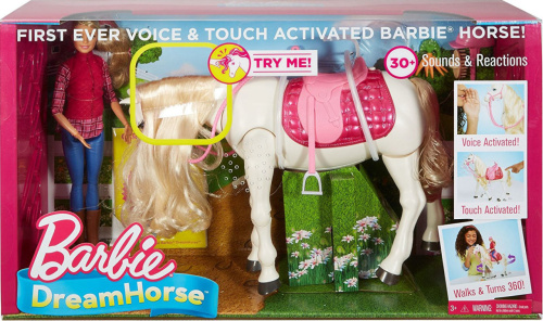 Barbie FRV36 (DREAMHORSE FTF02) Барби Кукла и лошадь мечты фото 10