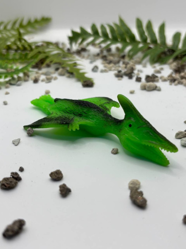 (зеленый) Катапульта Птеродактиль игрушка-антистресс Dino World