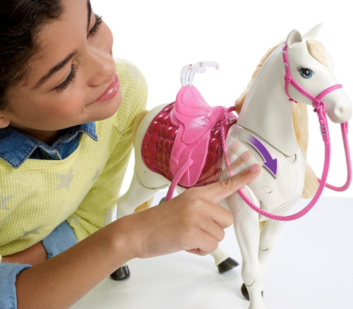 Barbie FRV36 (DREAMHORSE FTF02) Барби Кукла и лошадь мечты фото 7