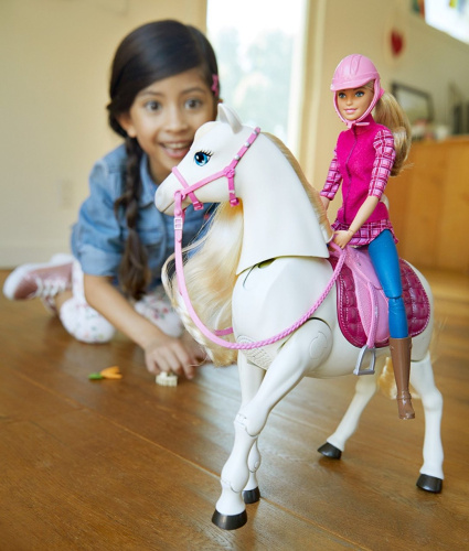 Barbie FRV36 (DREAMHORSE FTF02) Барби Кукла и лошадь мечты фото 9