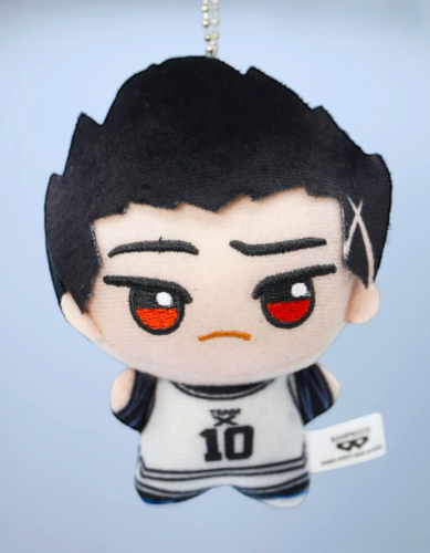 (номер 10) Аниме брелок Баро мягкая игрушка Синяя тюрьма Блю Лок (Blue lock) 13 см фото 3